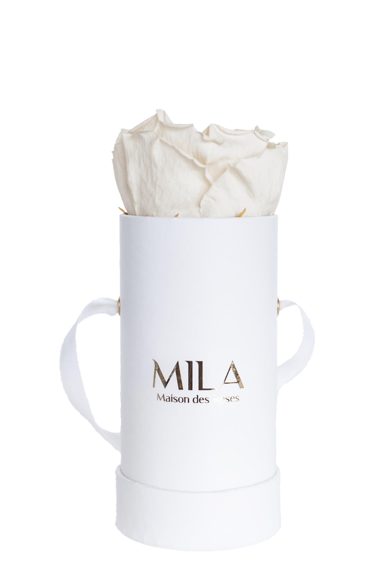 Mila Classique Baby - Mila Rose