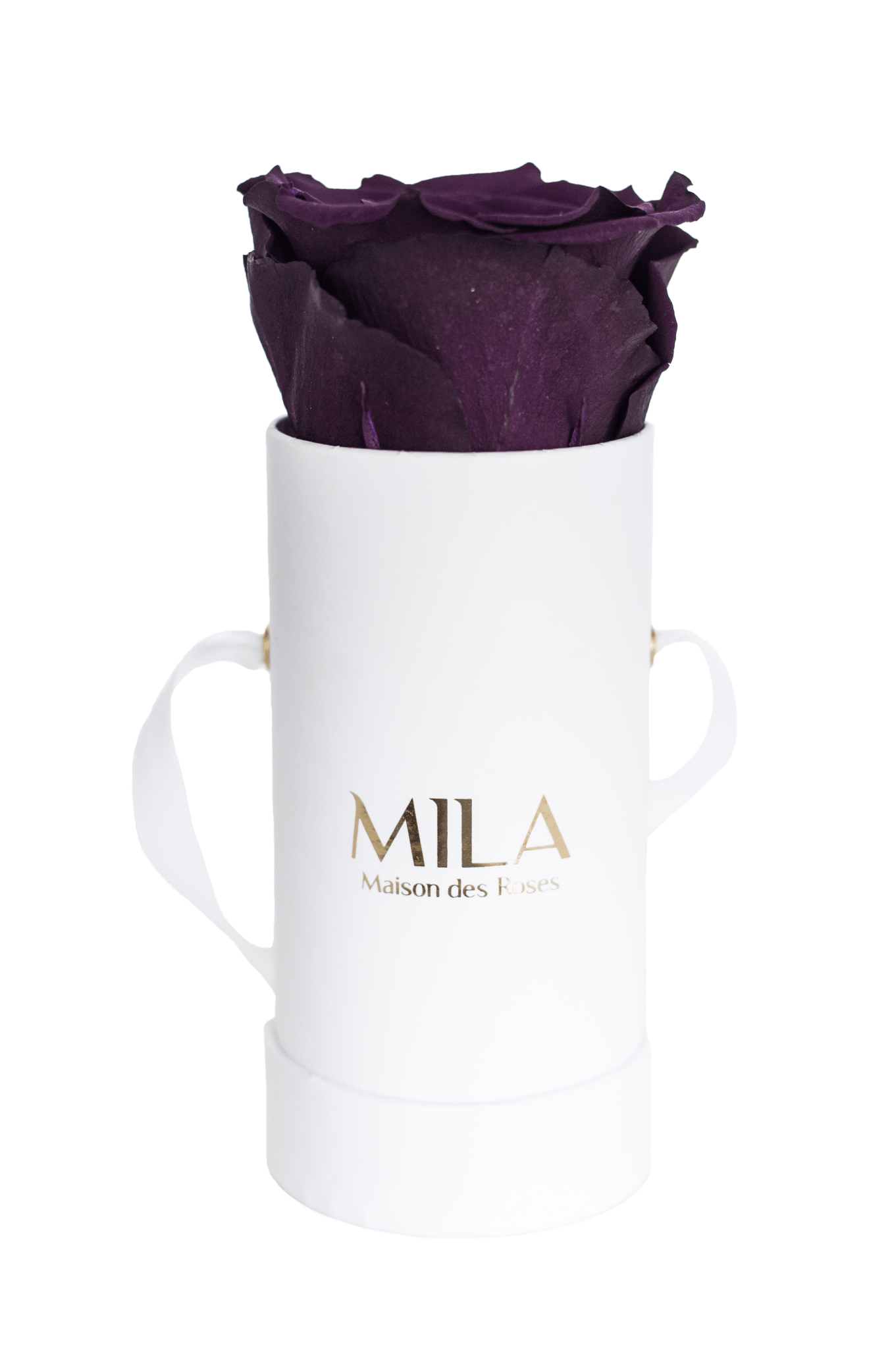 Mila Classique Baby - Mila Rose