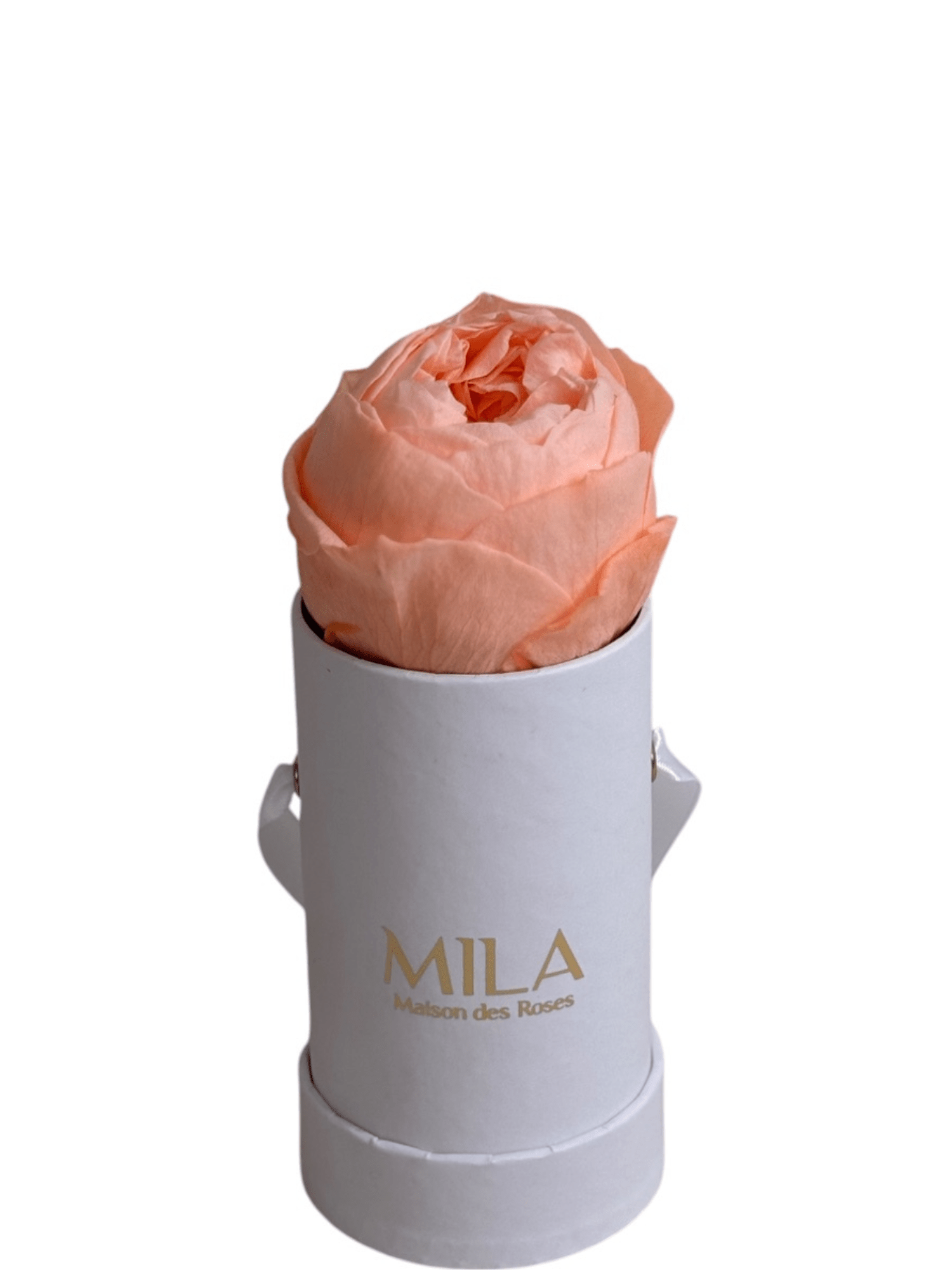 Mila Classique Baby - My Store