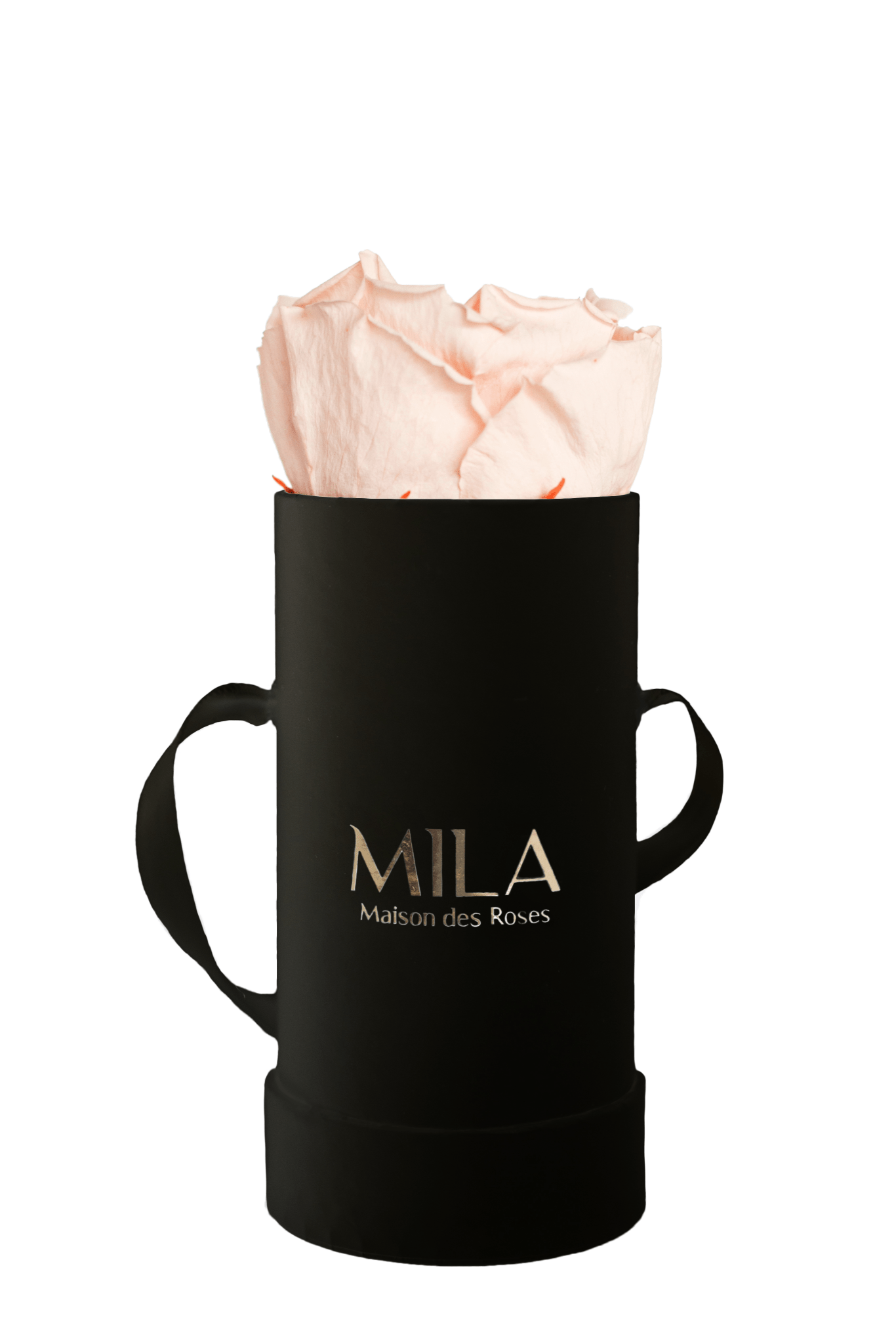 Mila Classique Baby - Mila Rose