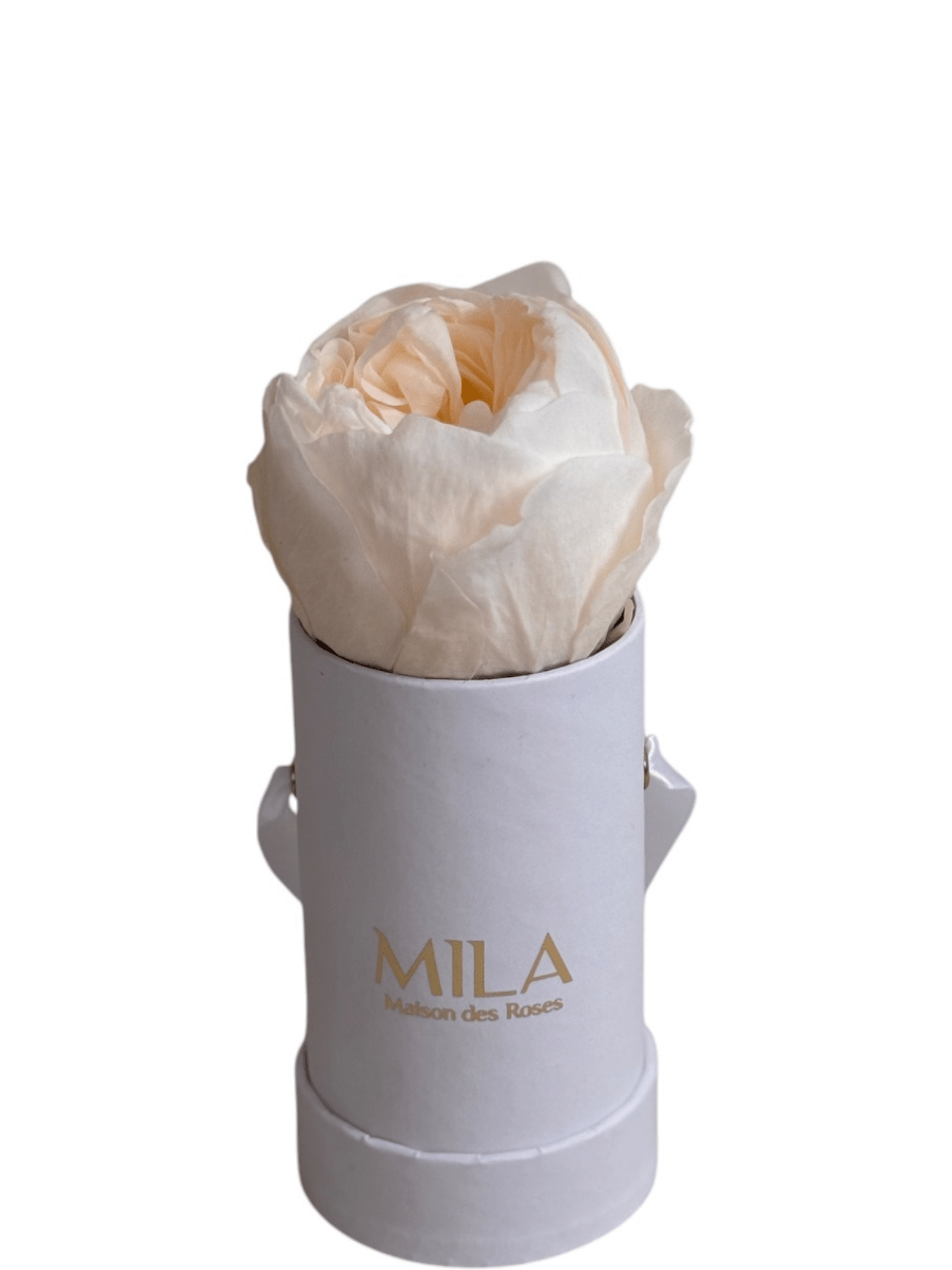 Mila Classique Baby - My Store