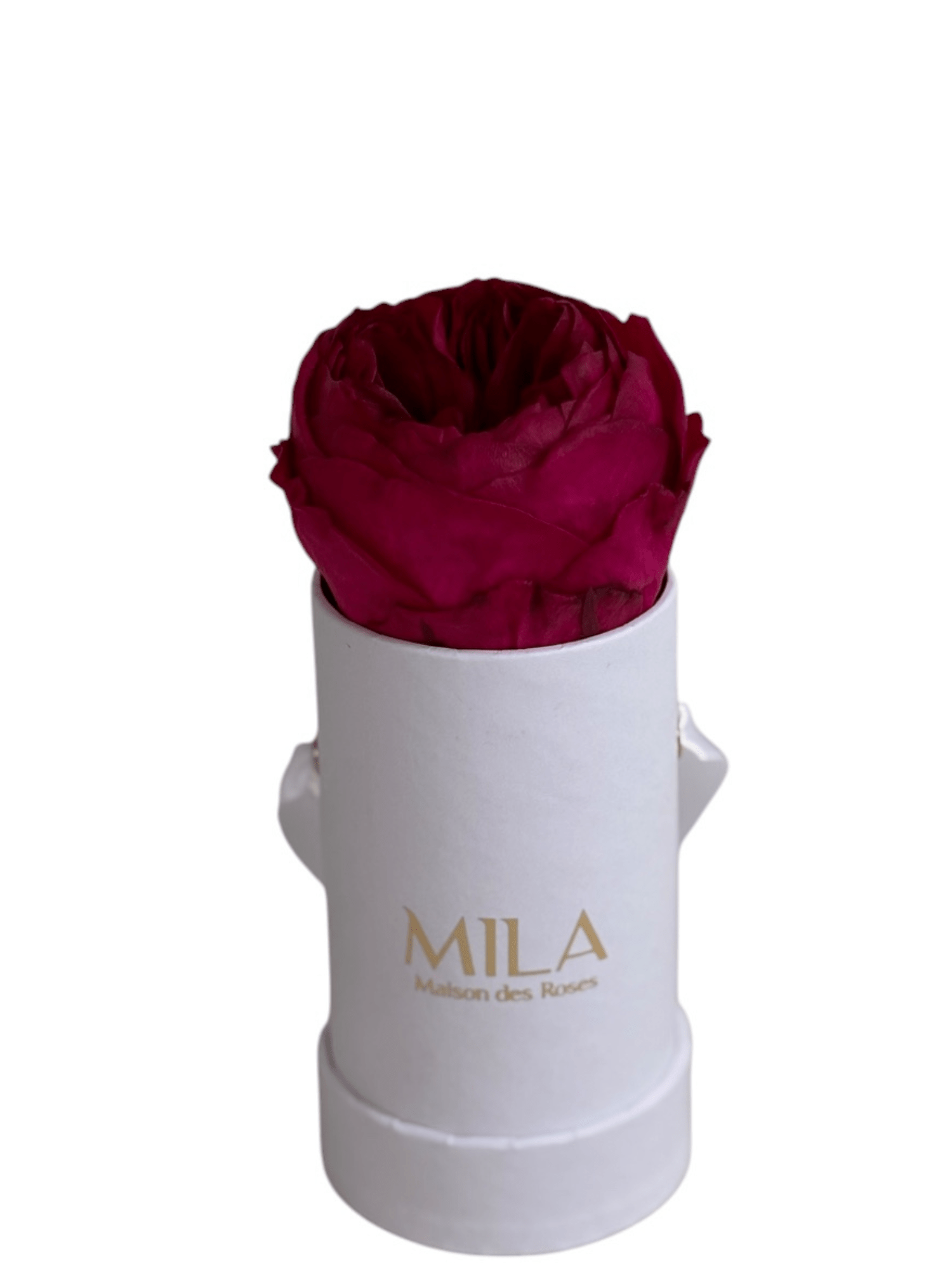 Mila Classique Baby - My Store