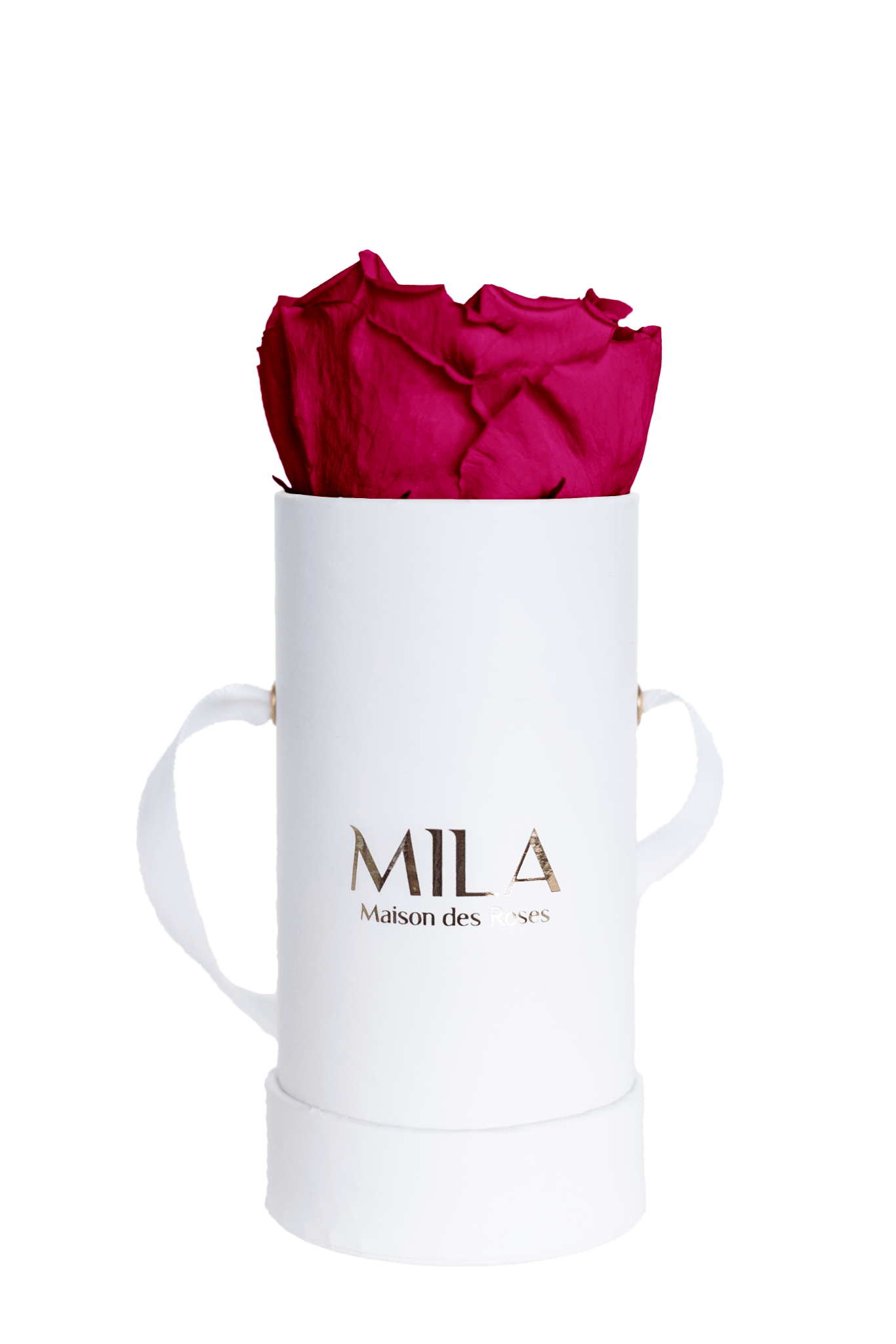 Mila Classique Baby - Mila Rose