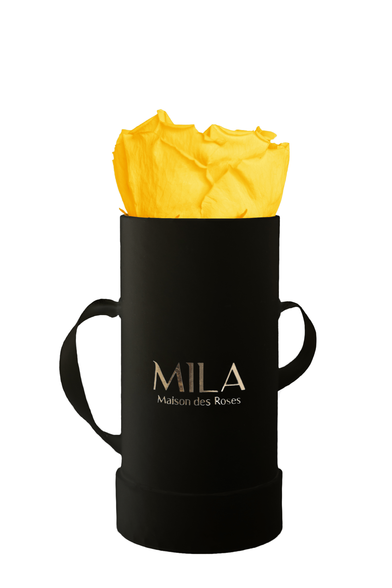 Mila Classique Baby - Mila Rose