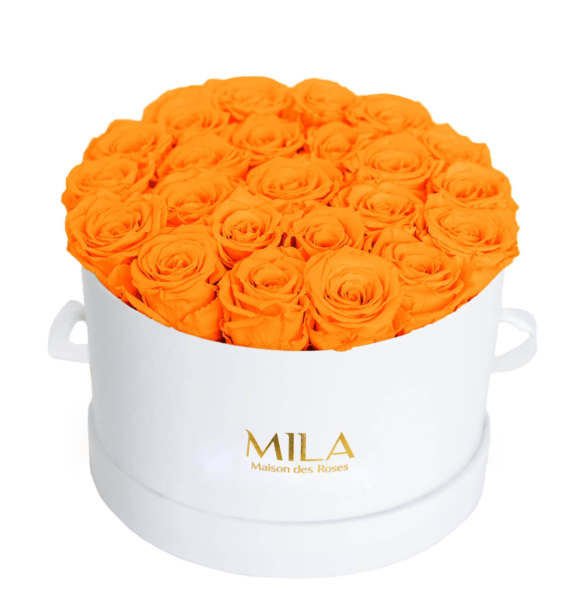 Mila Classique Large - Mila Rose