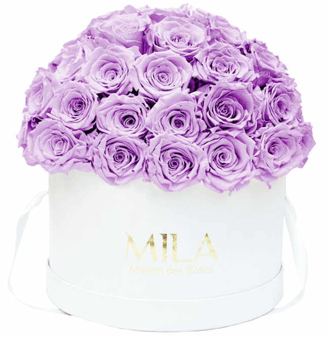 Mila Classique large dome - Mila Rose