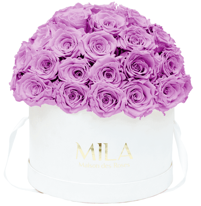 Mila Classique large dome - Mila Rose