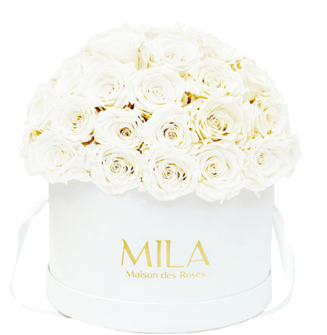 Mila Classique large dome - Mila Rose
