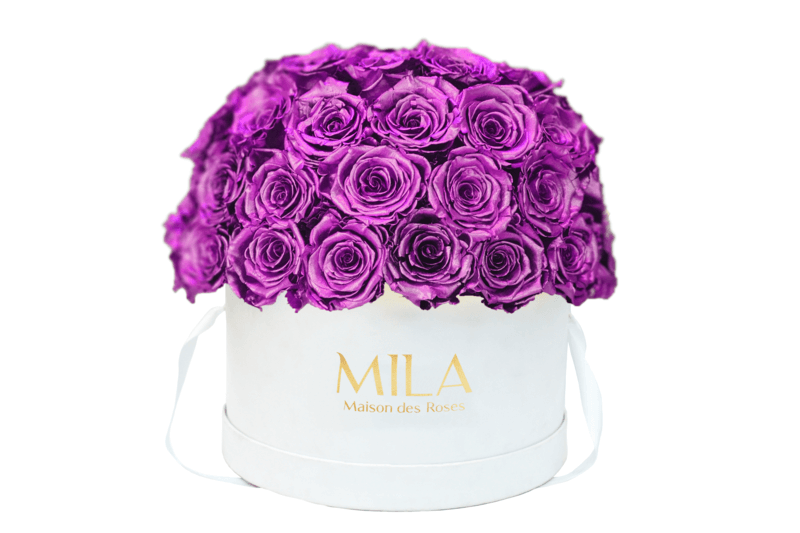 Mila Classique large dome - Mila Rose