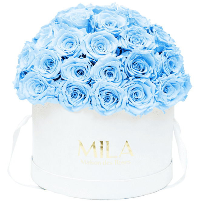 Mila Classique large dome - Mila Rose