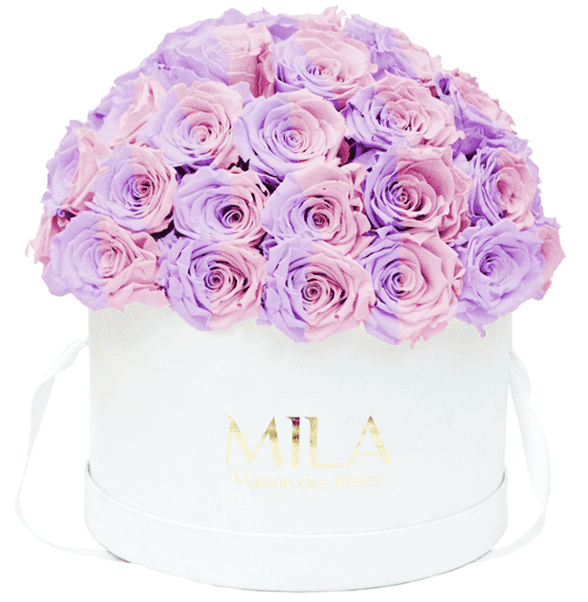Mila Classique large dome - Mila Rose