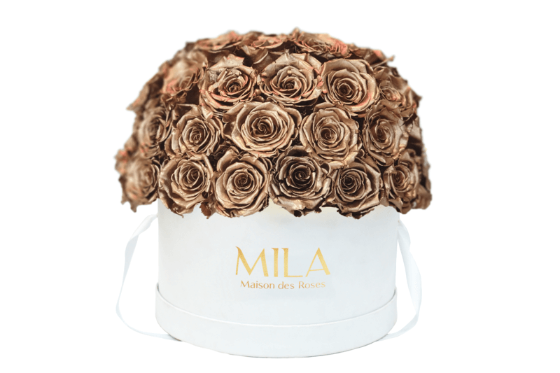 Mila Classique large dome - Mila Rose