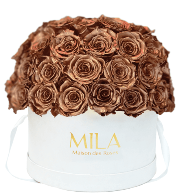 Mila Classique large dome - Mila Rose
