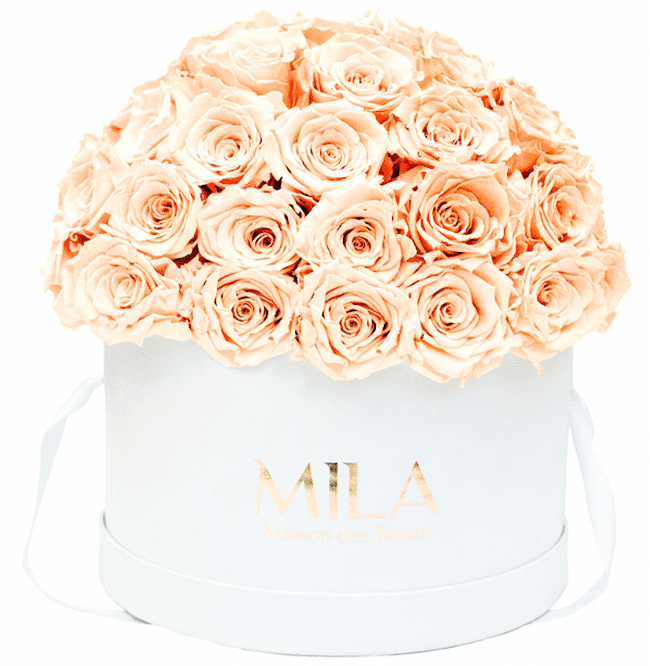 Mila Classique large dome - Mila Rose