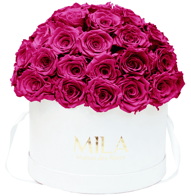 Mila Classique large dome - Mila Rose