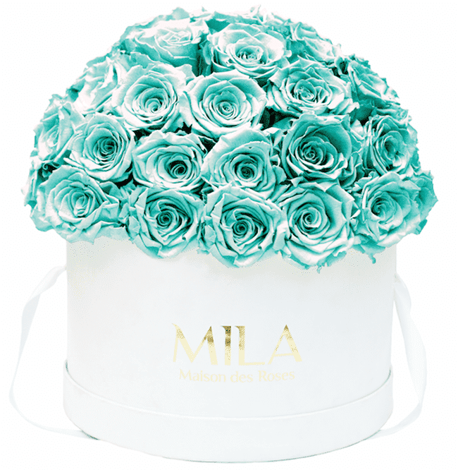 Mila Classique large dome - Mila Rose