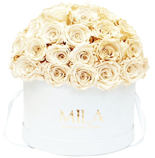 Mila Classique large dome - Mila Rose