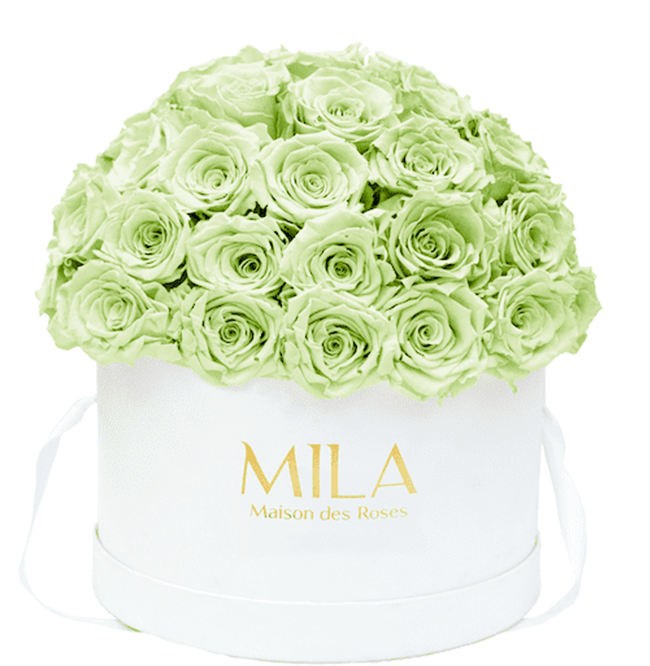 Mila Classique large dome - Mila Rose