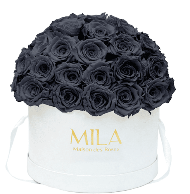 Mila Classique large dome - Mila Rose