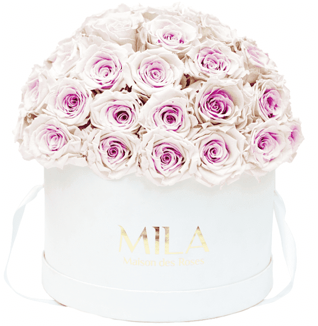 Mila Classique large dome - Mila Rose