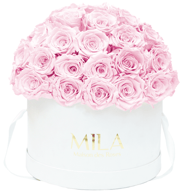 Mila Classique large dome - Mila Rose