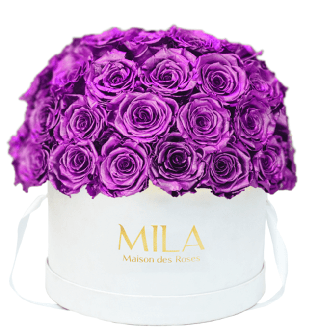 Mila Classique large dome - Mila Rose