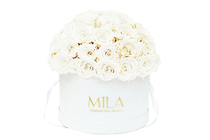 Mila Classique large dome - Mila Rose