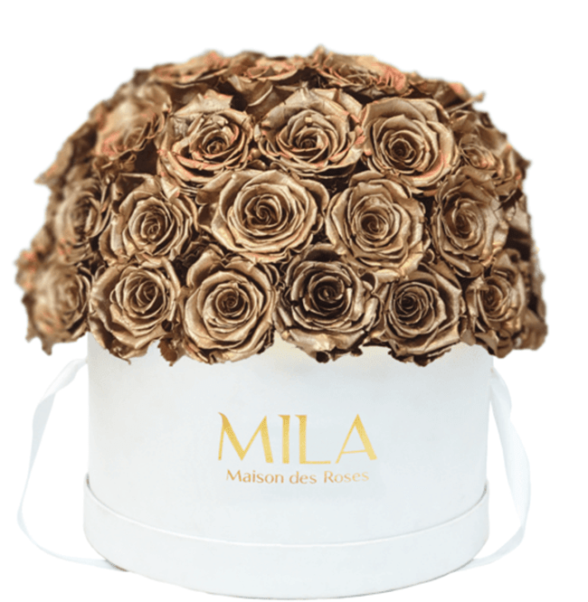 Mila Classique large dome - Mila Rose