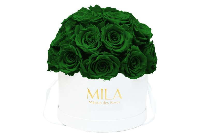 Mila Classique large dome - Mila Rose