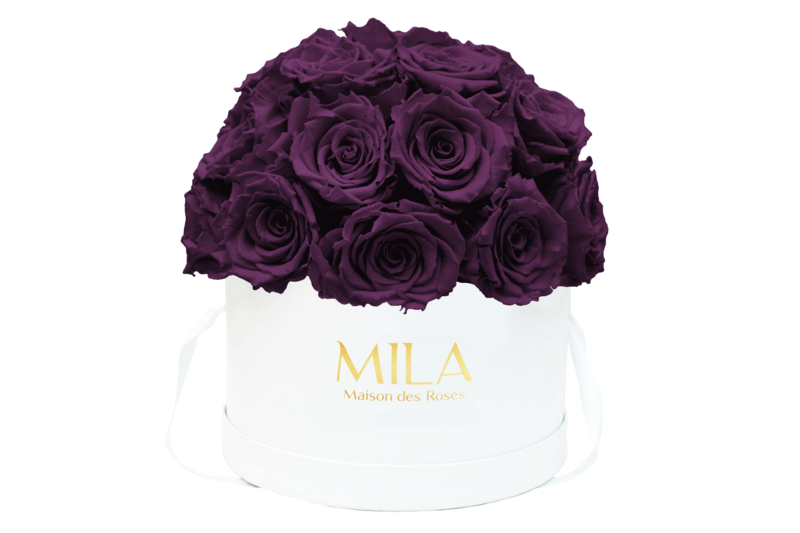 Mila Classique large dome - Mila Rose
