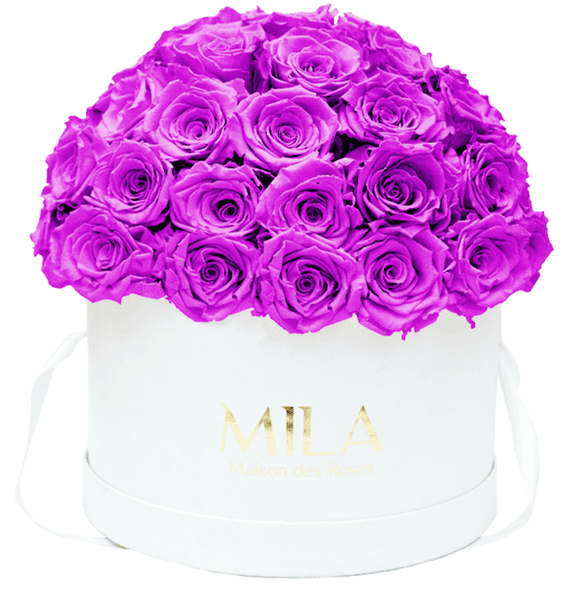 Mila Classique large dome - Mila Rose