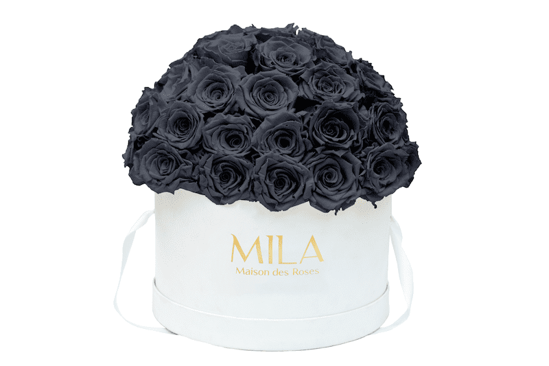 Mila Classique large dome - Mila Rose