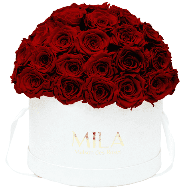 Mila Classique large dome - Mila Rose