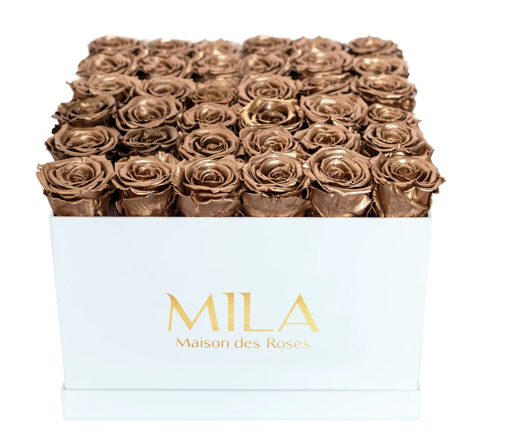 Mila Classique Luxe - Mila Rose