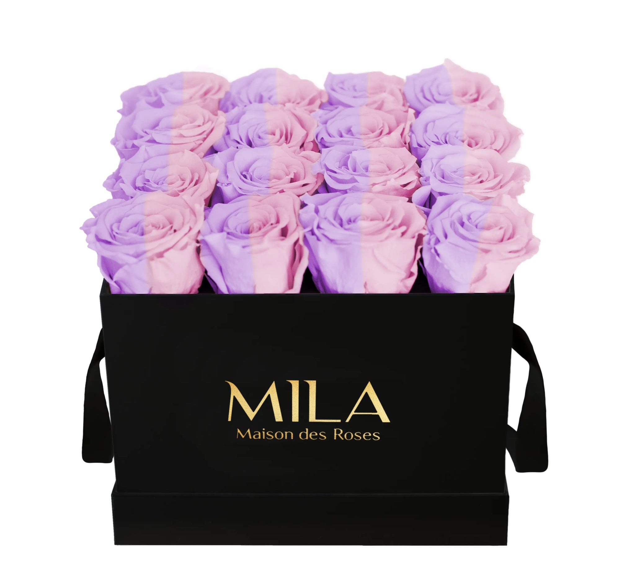 Mila Classique Medium - Mila Rose