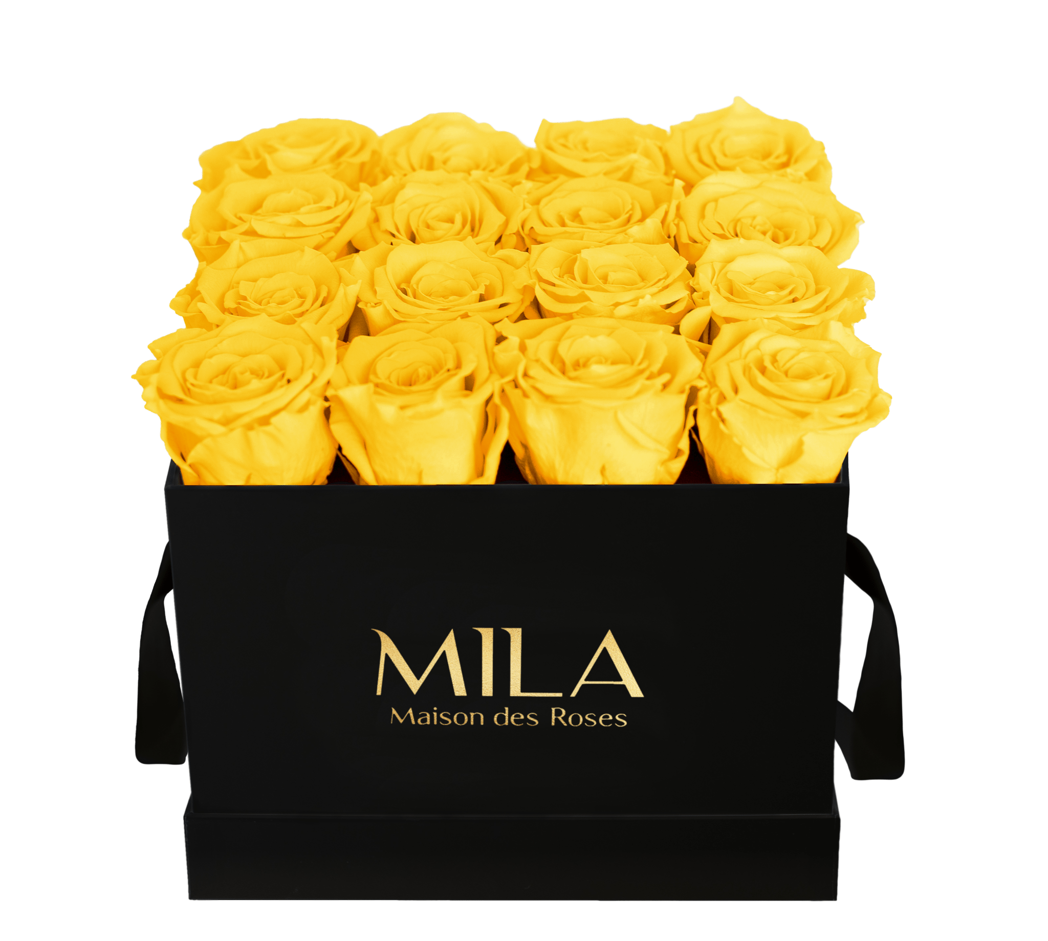 Mila Classique Medium - Mila Rose