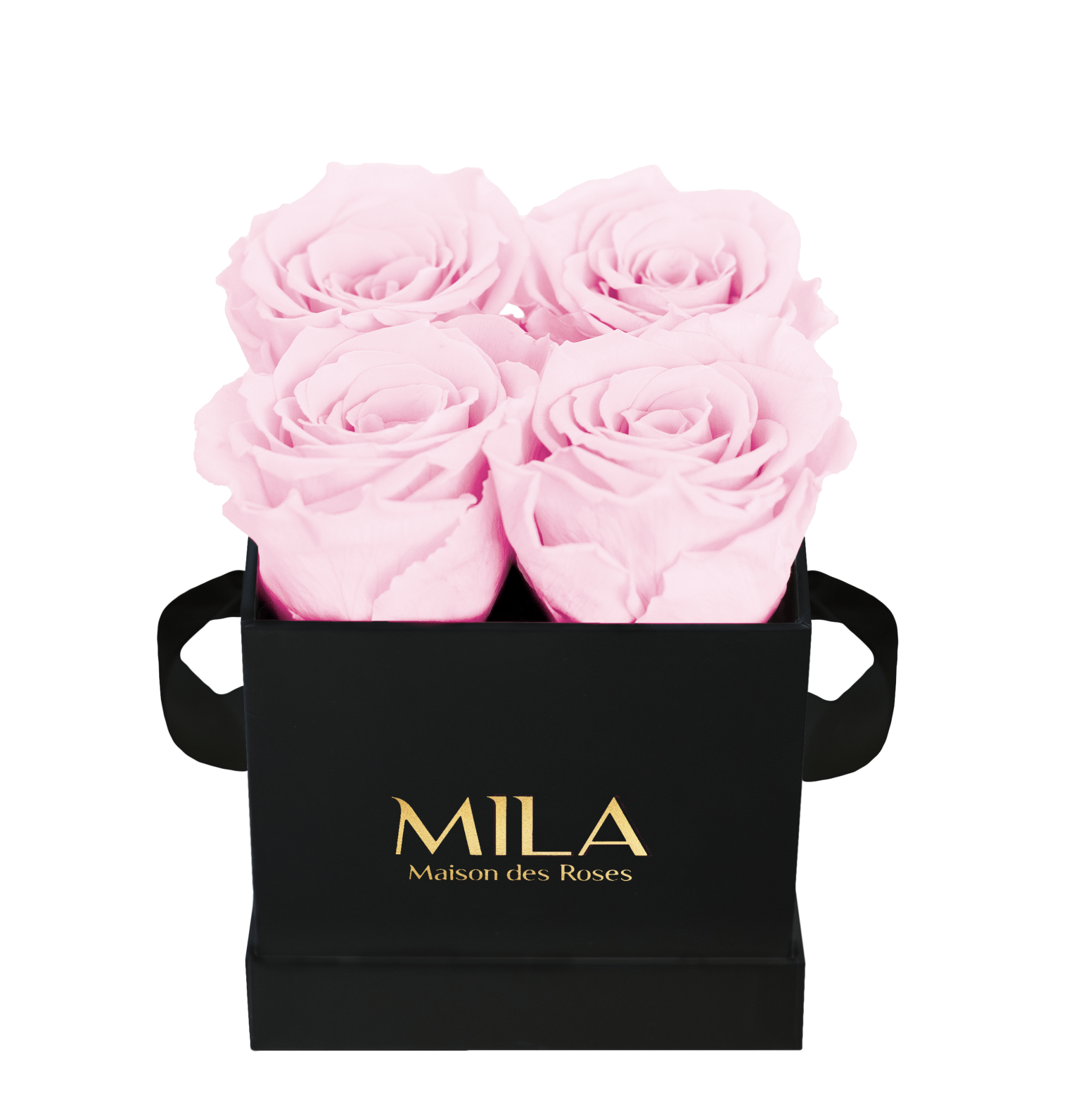 Mila Classique Mini - Mila Rose
