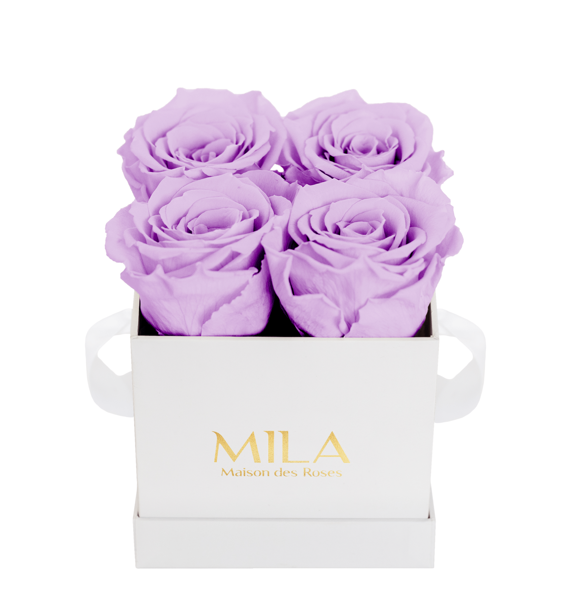 Mila Classique Mini - Mila Rose