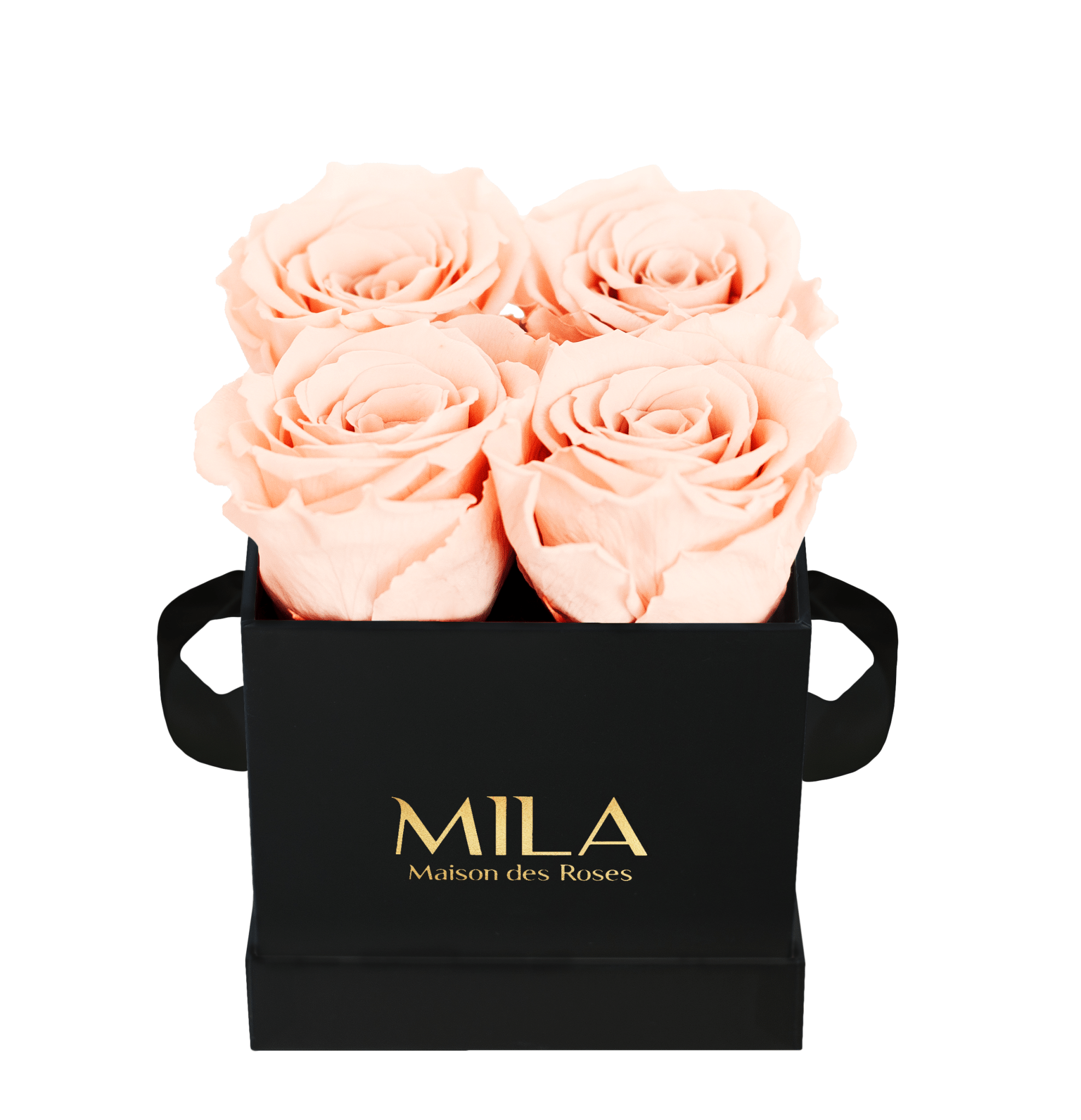 Mila Classique Mini - Mila Rose