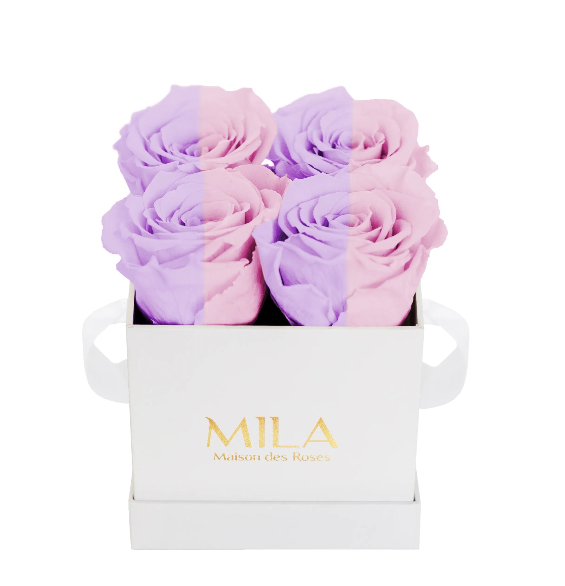 Mila Classique Mini - Mila Rose