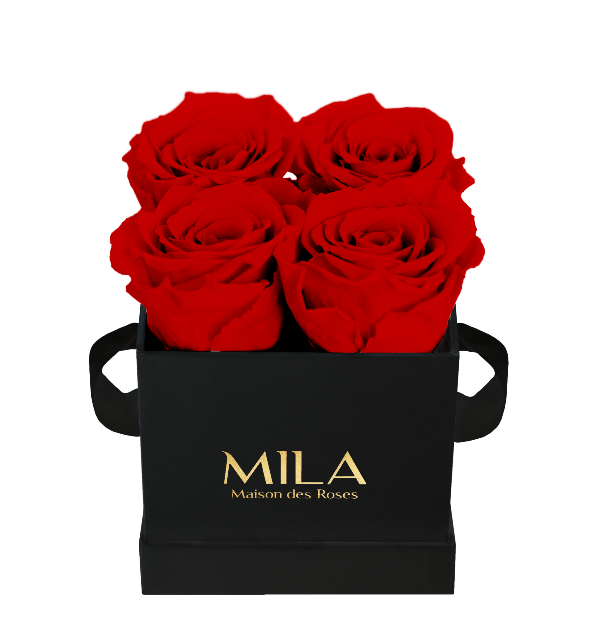 Mila Classique Mini - Mila Rose
