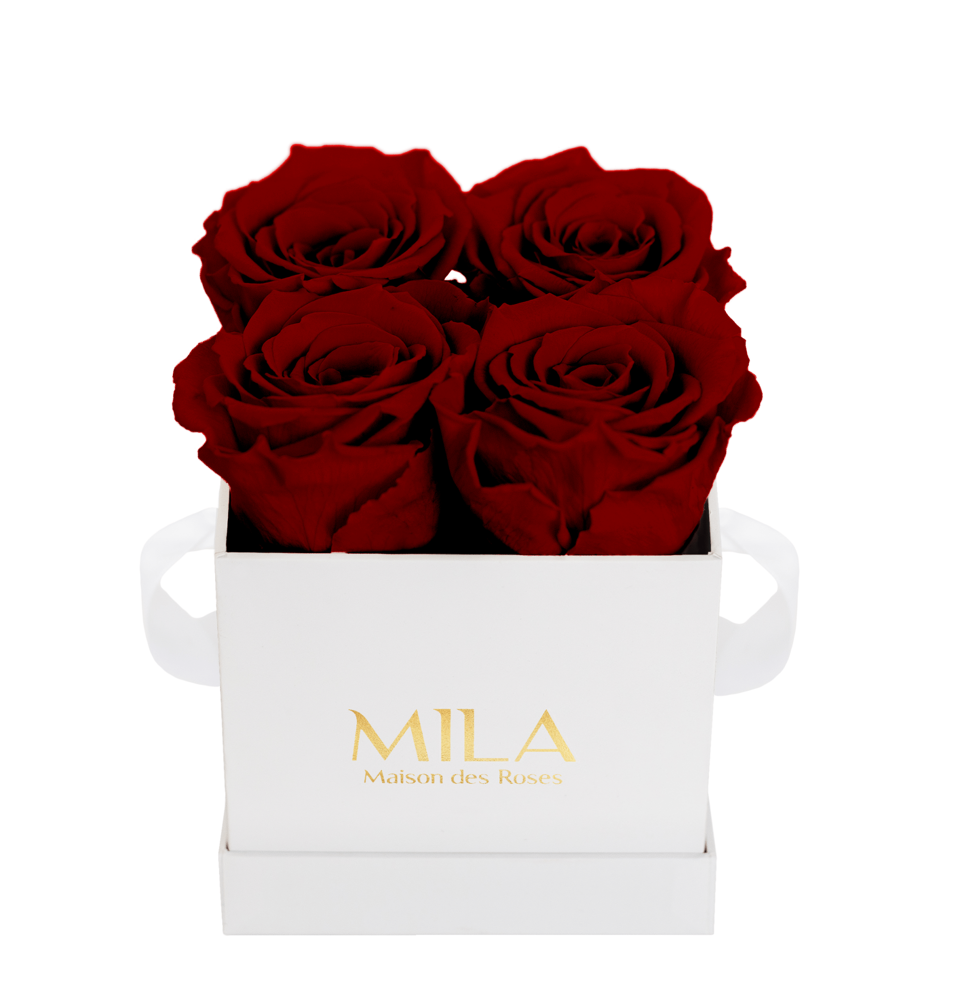 Mila Classique Mini - Mila Rose