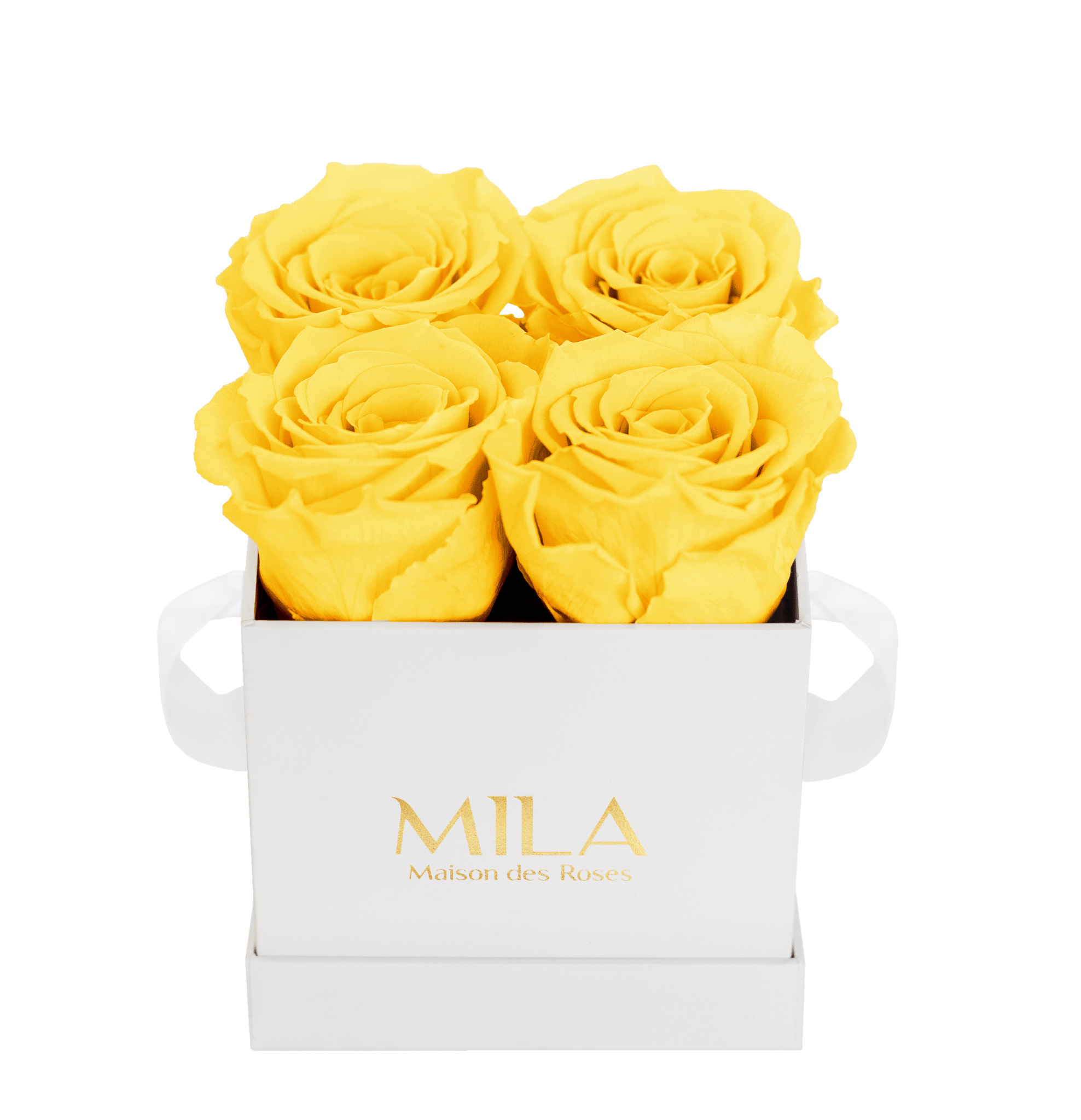 Mila Classique Mini - Mila Rose