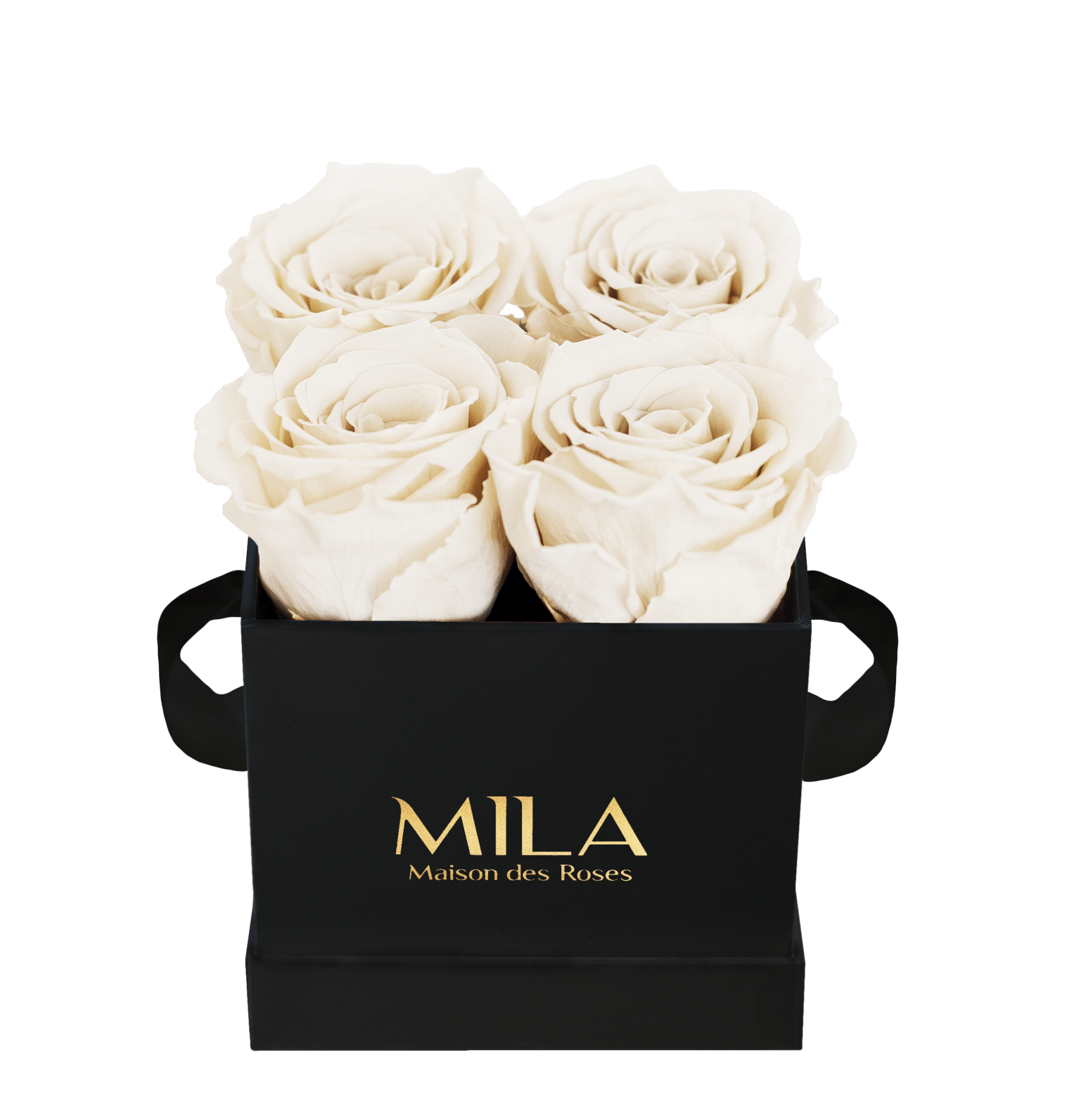 Mila Classique Mini - Mila Rose