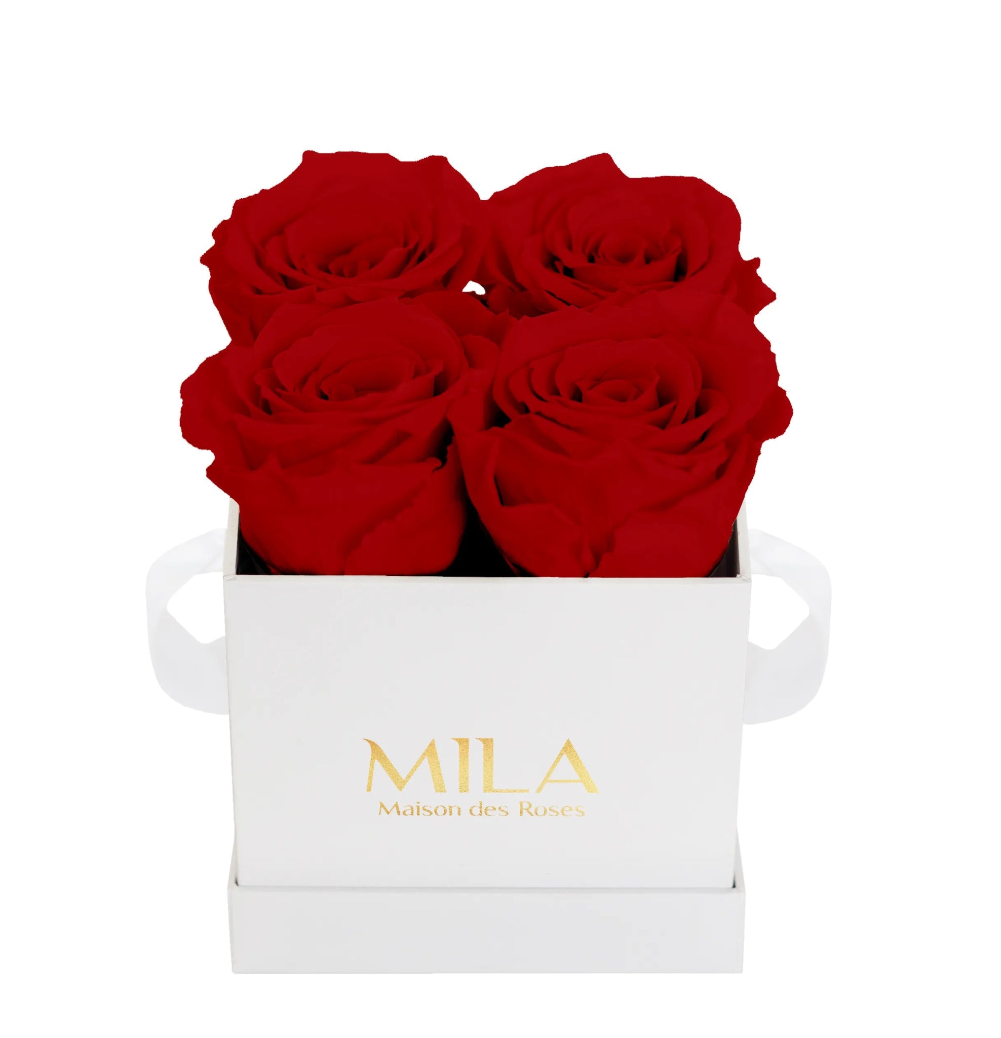 Mila Classique Mini - Mila Rose