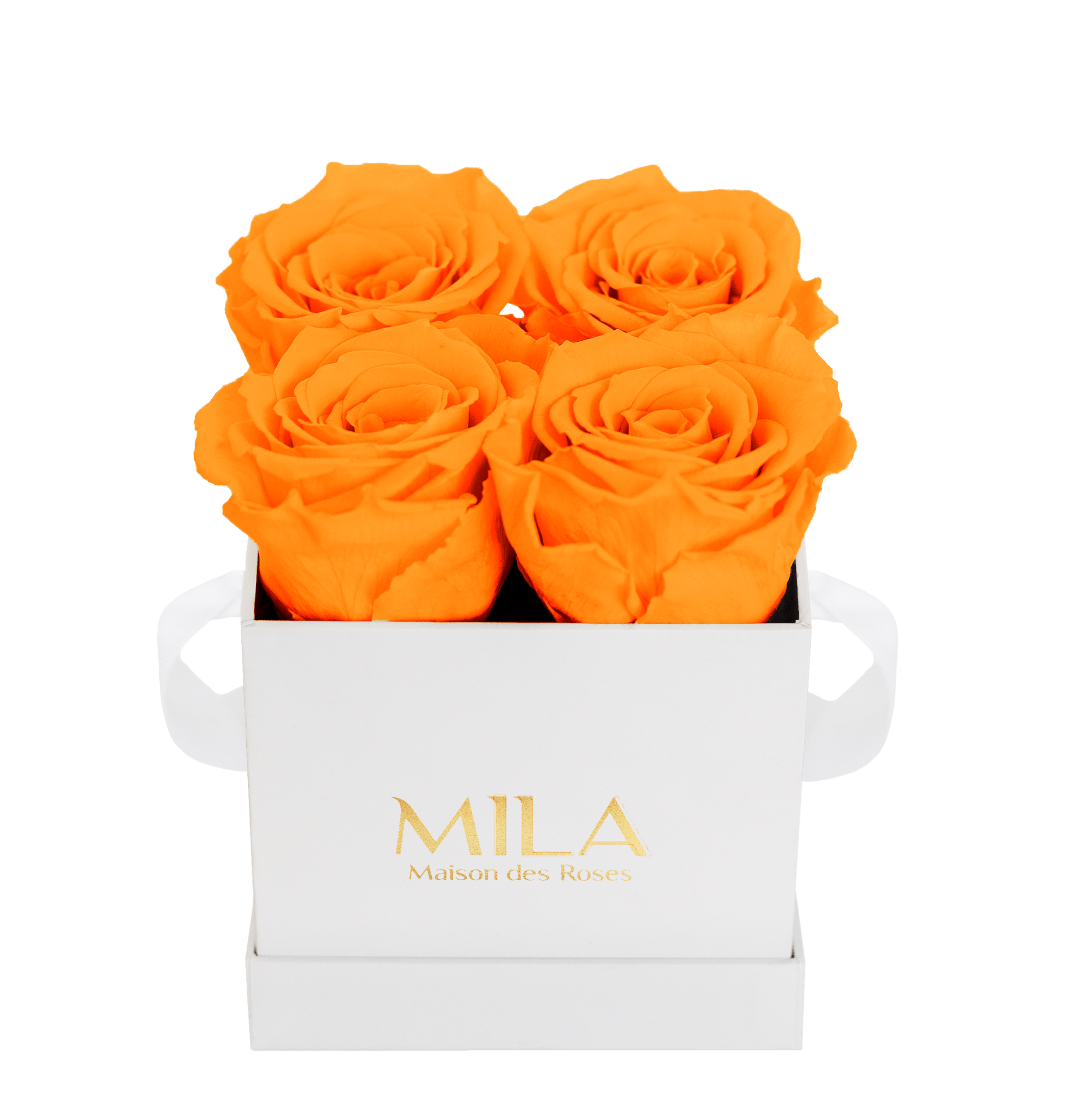 Mila Classique Mini - Mila Rose