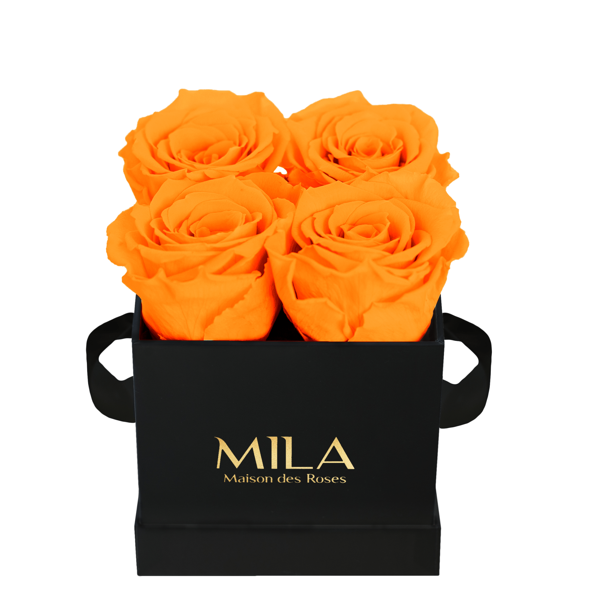 Mila Classique Mini - Mila Rose