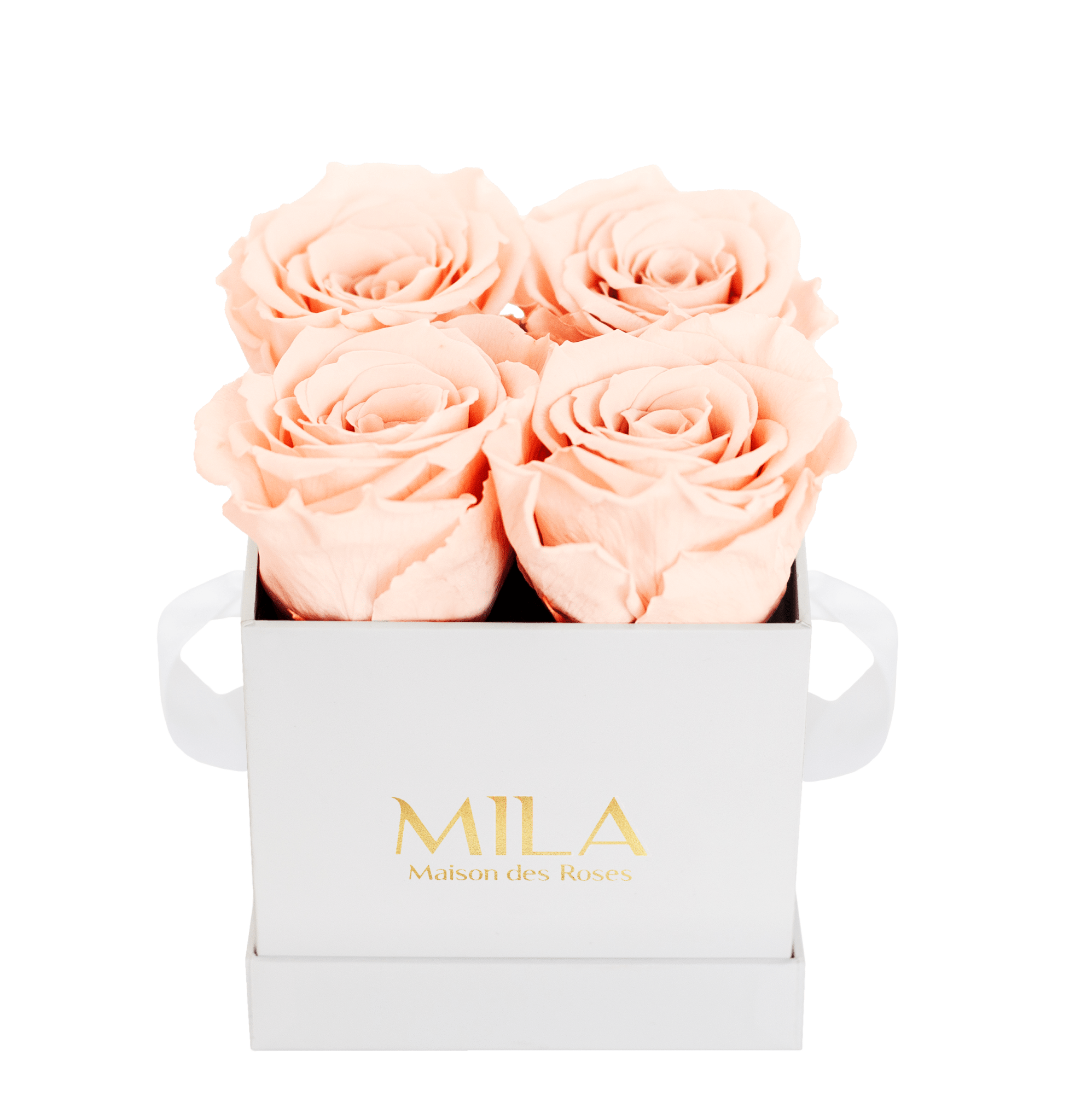 Mila Classique Mini - Mila Rose