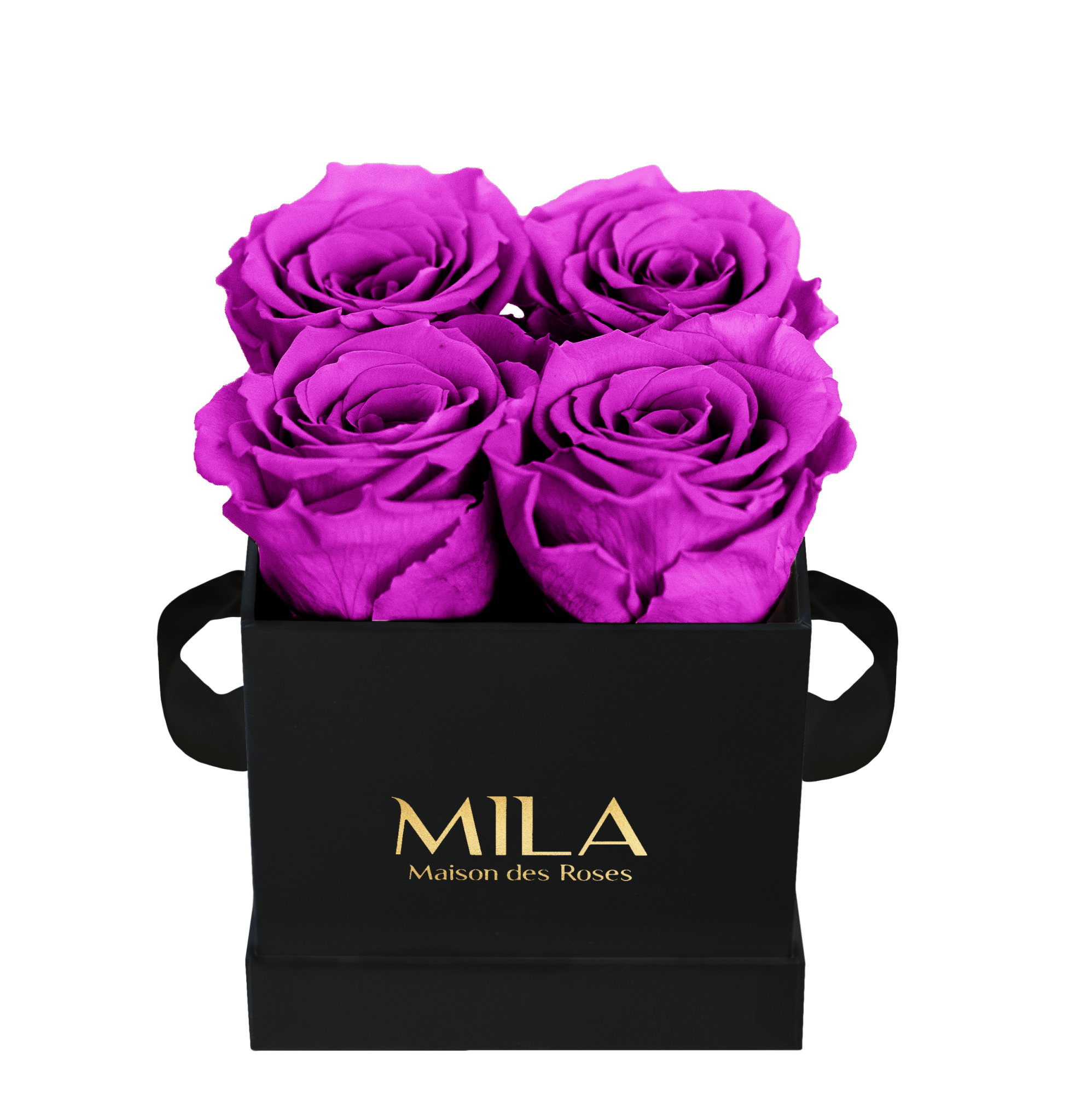 Mila Classique Mini - Mila Rose