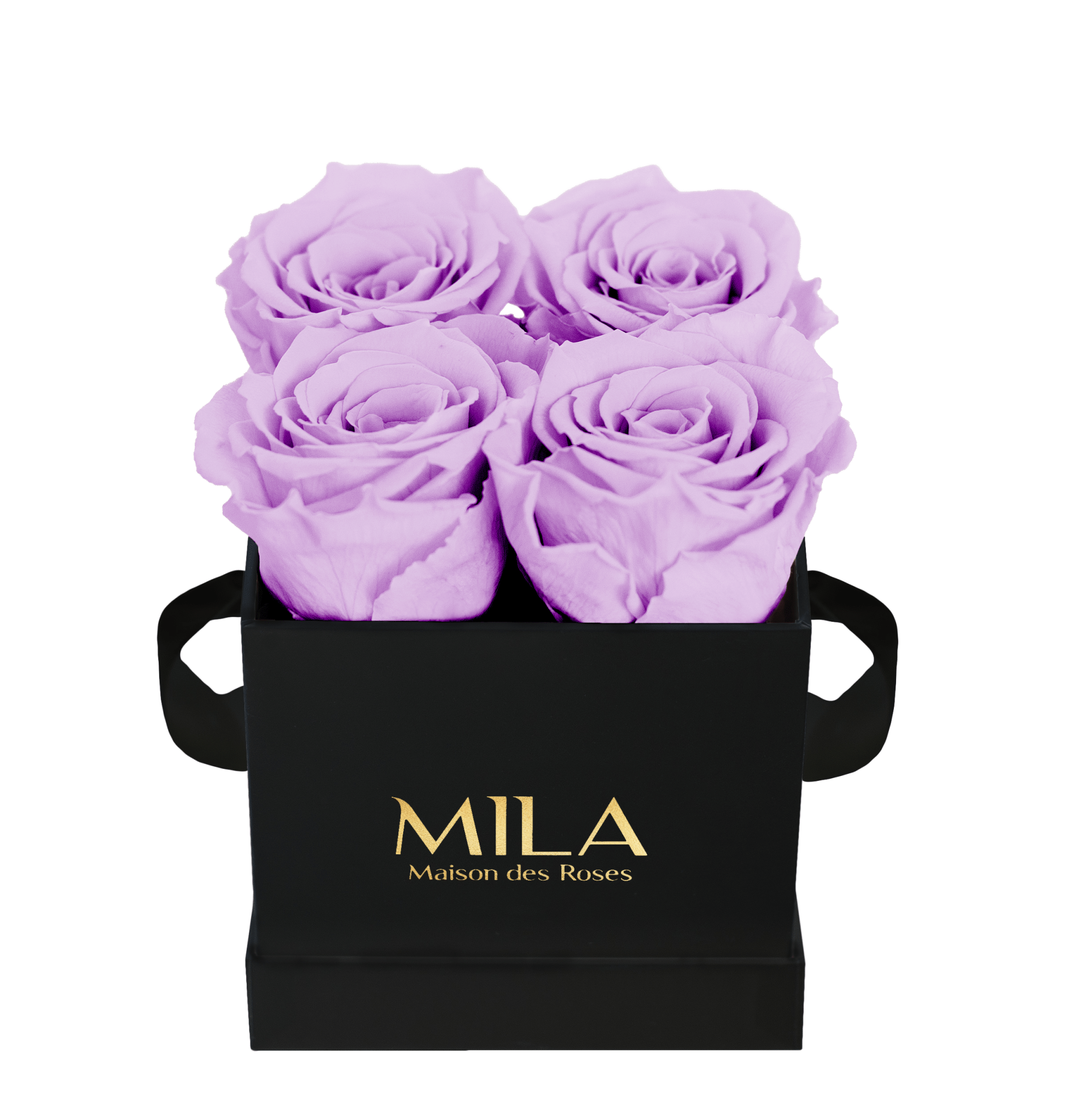 Mila Classique Mini - Mila Rose